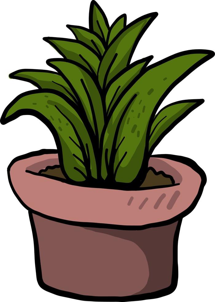Pflanze in einem Topf, Illustration, Vektor auf weißem Hintergrund