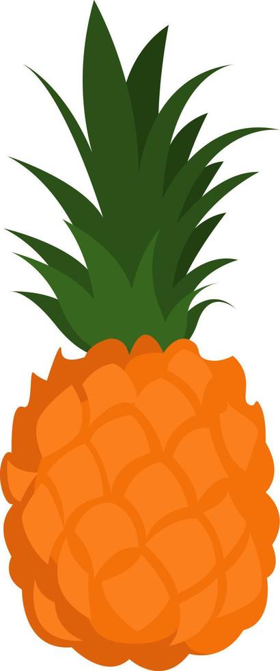 färsk ananas, illustration, vektor på vit bakgrund