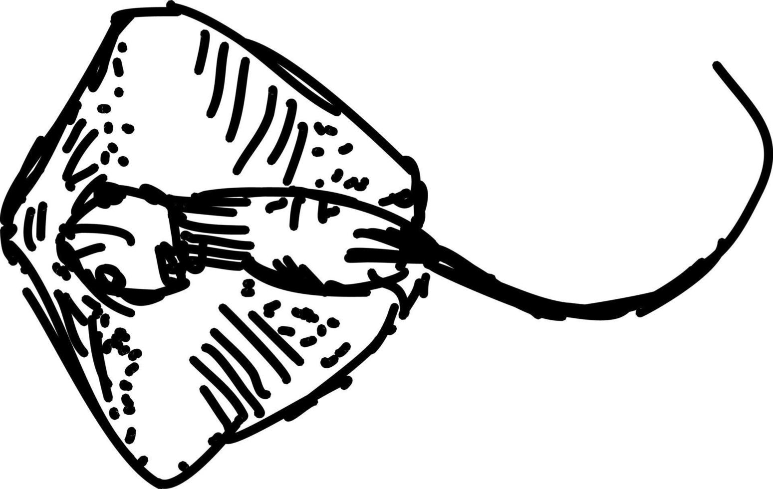 Fischzeichnung, Illustration, Vektor auf weißem Hintergrund.