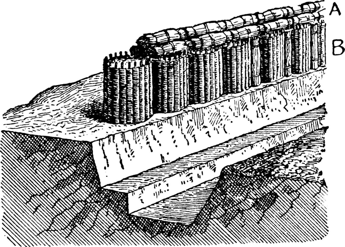 dike med fasciner och gabioner, årgång illustration. vektor