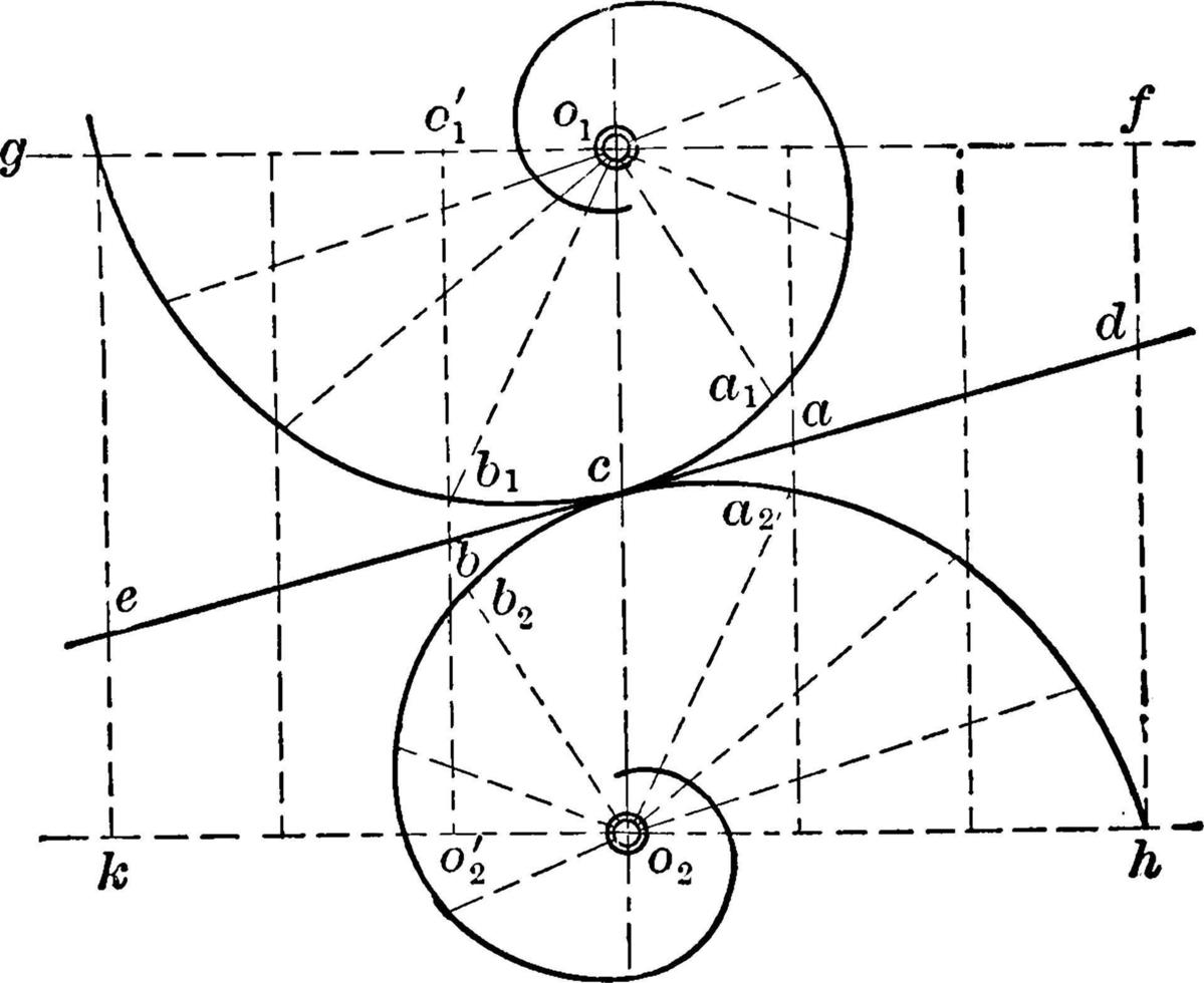rullande av logaritmisk spiraler, årgång illustration. vektor