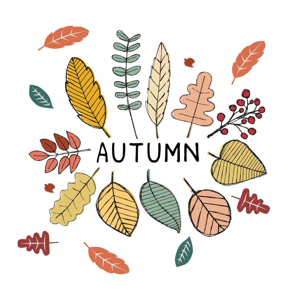 Herbst Handzeichnung Blätter Set, isoliert auf weißem Hintergrund. einfacher Cartoon-Flat-Stil. isolierte Vektorillustration. Design für Aufkleber, Logos, Web- und mobile Apps. vektor