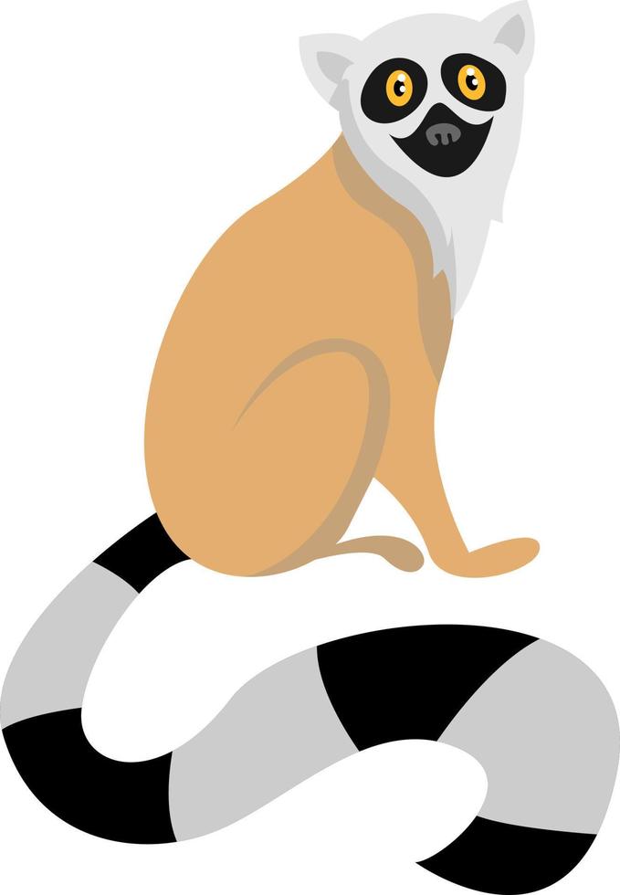 Lemur, Illustration, Vektor auf weißem Hintergrund.