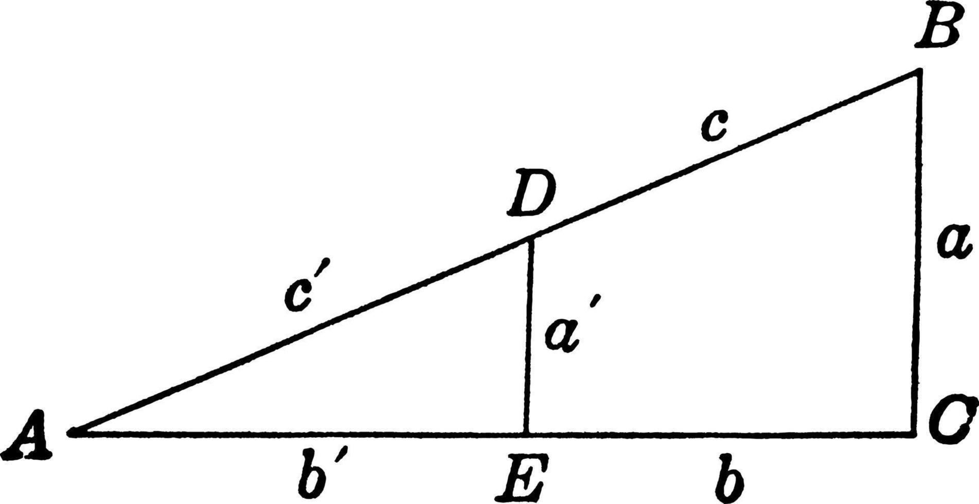 triangel, årgång illustration. vektor