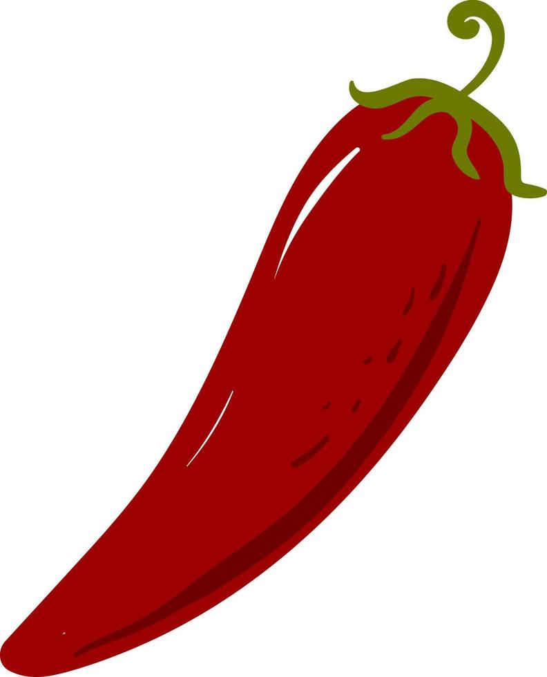 rote Paprika, Illustration, Vektor auf weißem Hintergrund.