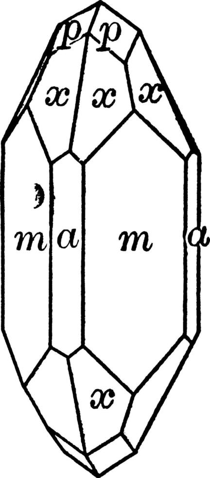 zirkon, årgång illustration. vektor