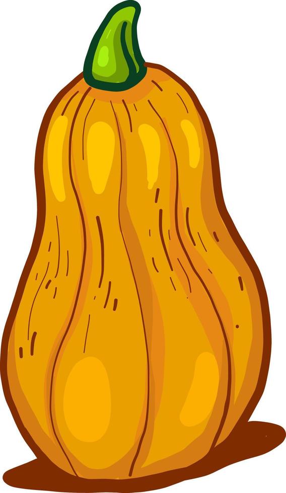 Orangen-Butternut-Kürbis, Illustration, Vektor auf weißem Hintergrund