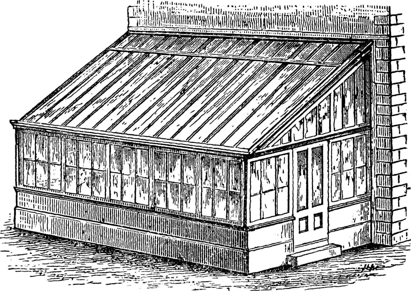 växt hus årgång illustration. vektor