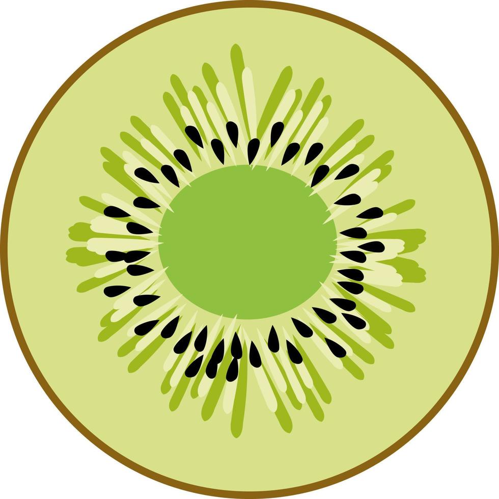 halv kiwi, illustration, vektor på vit bakgrund.