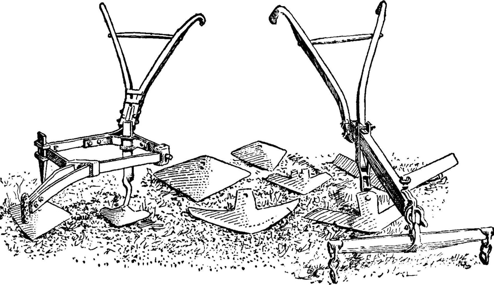 bomull odla eller gossypium, årgång illustration vektor