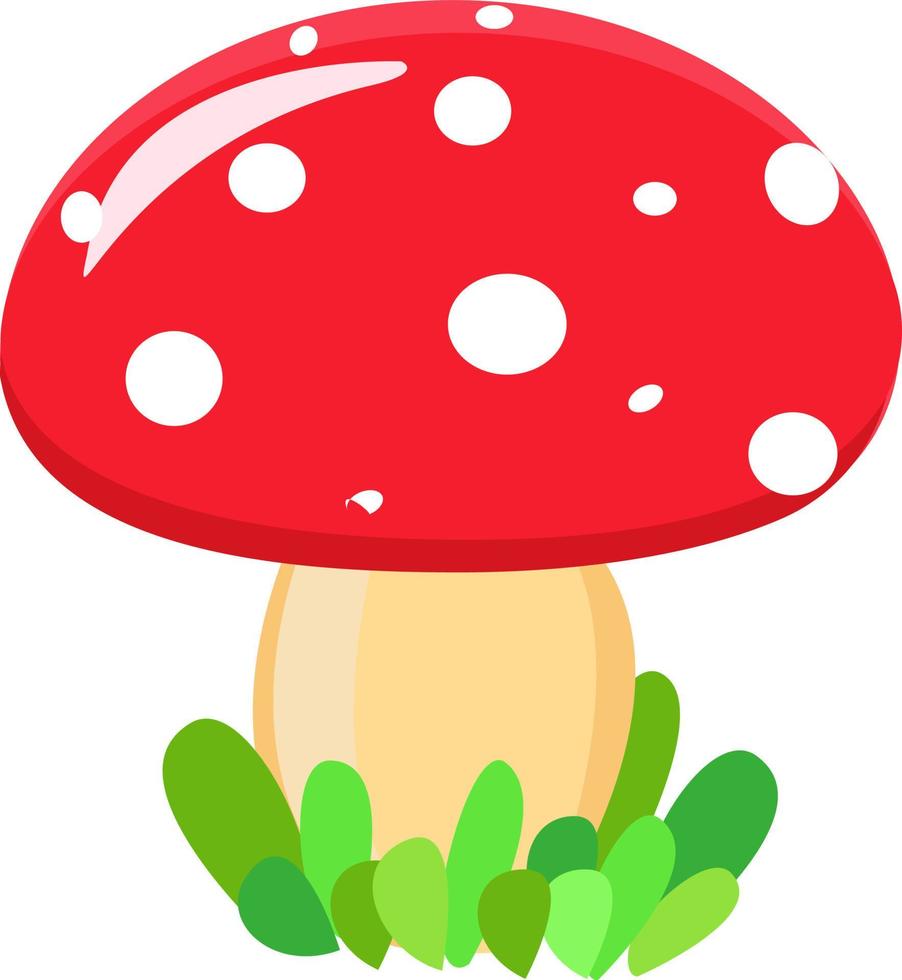 roter Pilz, Illustration, Vektor auf weißem Hintergrund.