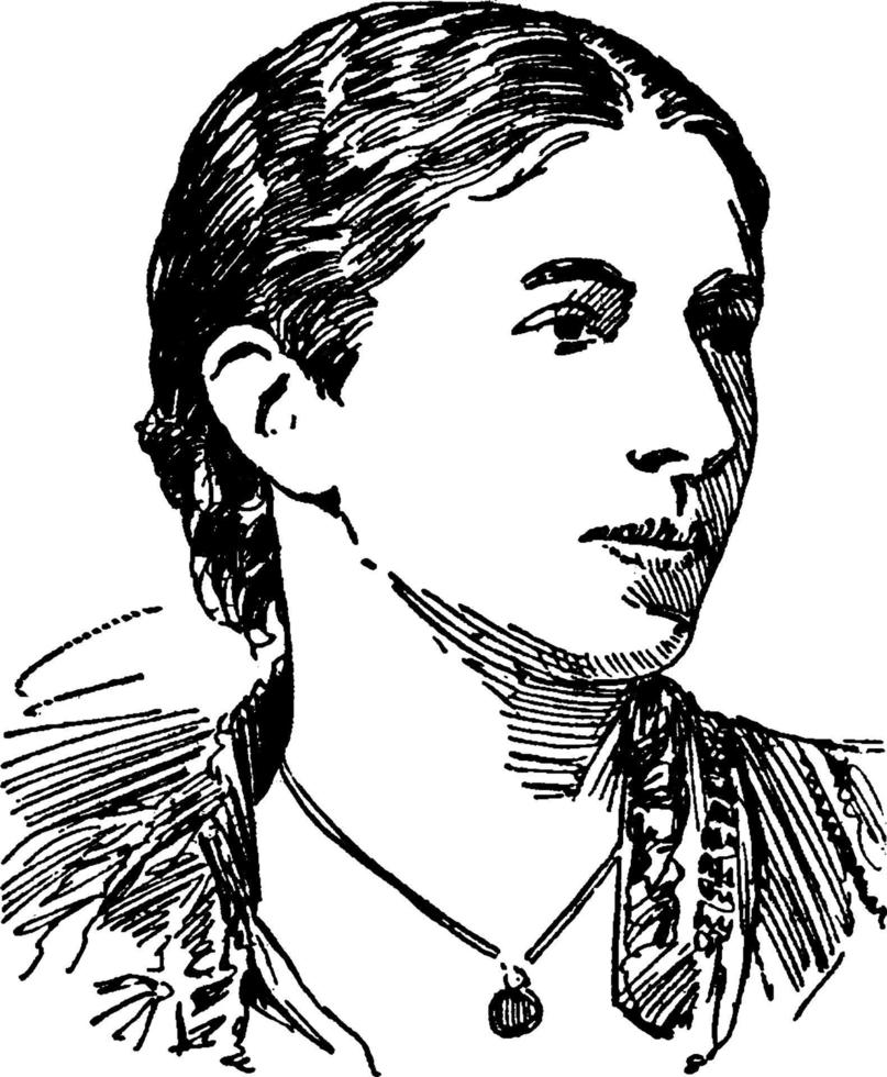 mary augusta avdelning, årgång illustration vektor