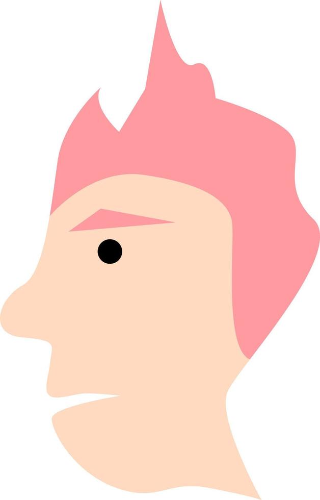 Männer mit interessanten rosa Haaren, Illustration, Vektor, auf weißem Hintergrund. vektor