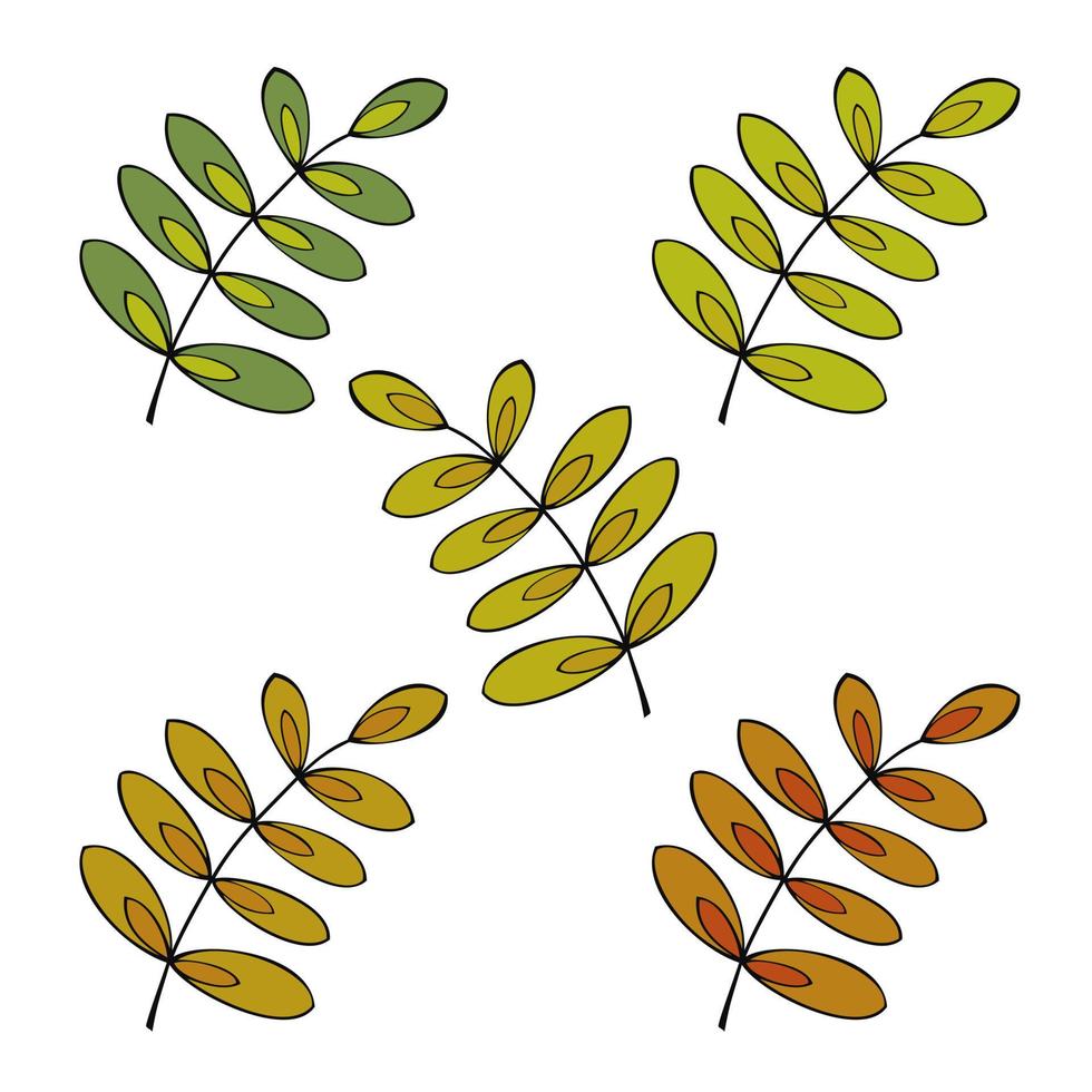 Reihe von farbigen Symbolen, dekorative Ebereschenblätter im Herbst, Vektorillustration auf weißem Hintergrund vektor
