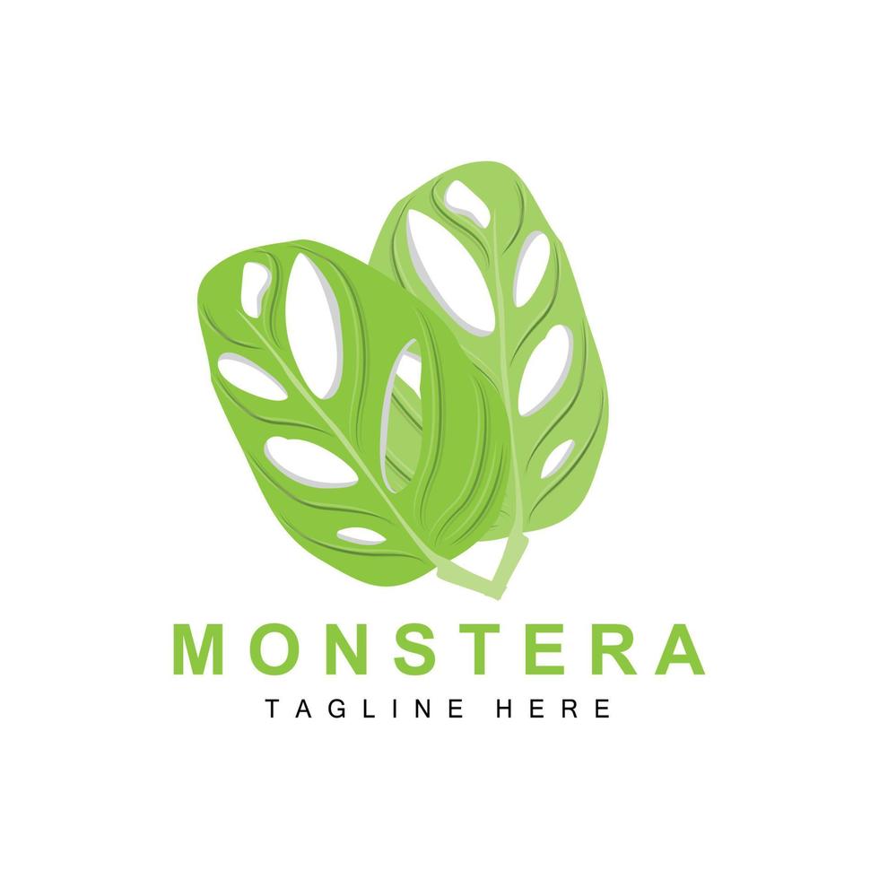 monstera adansonii-blattlogo, grünpflanzenvektor, baumvektor, seltene blattillustration vektor