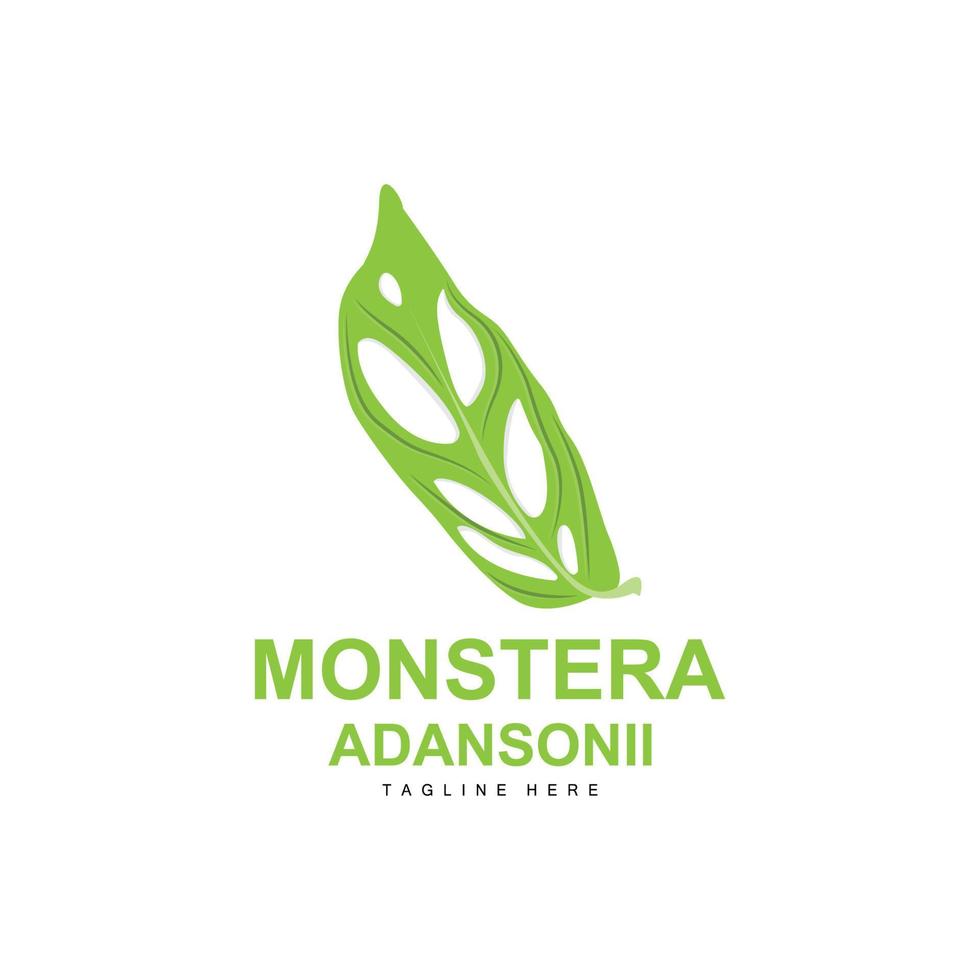 monstera adansonii blad logotyp, grön växt vektor, träd vektor, sällsynt blad illustration vektor