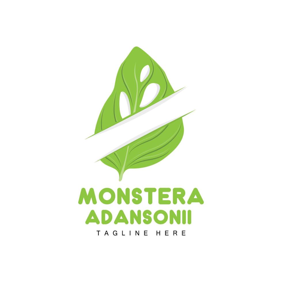 monstera adansonii-blattlogo, grünpflanzenvektor, baumvektor, seltene blattillustration vektor