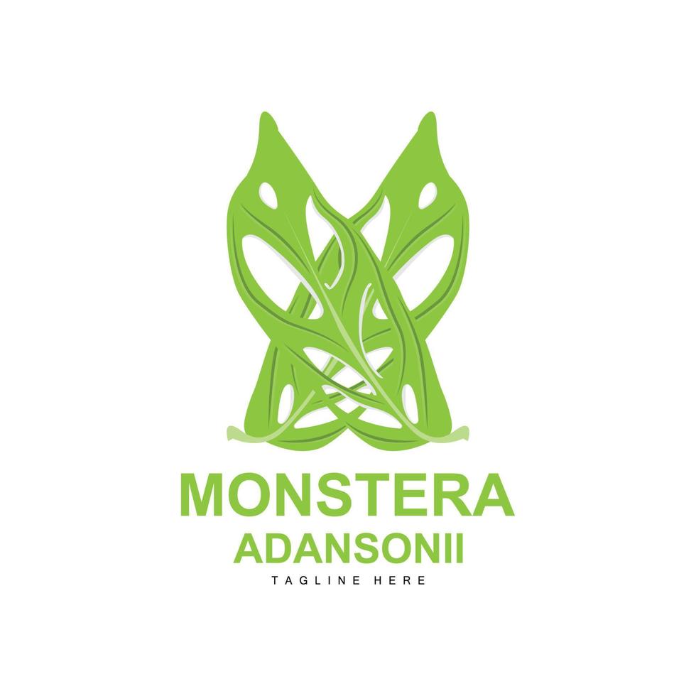 monstera adansonii blad logotyp, grön växt vektor, träd vektor, sällsynt blad illustration vektor