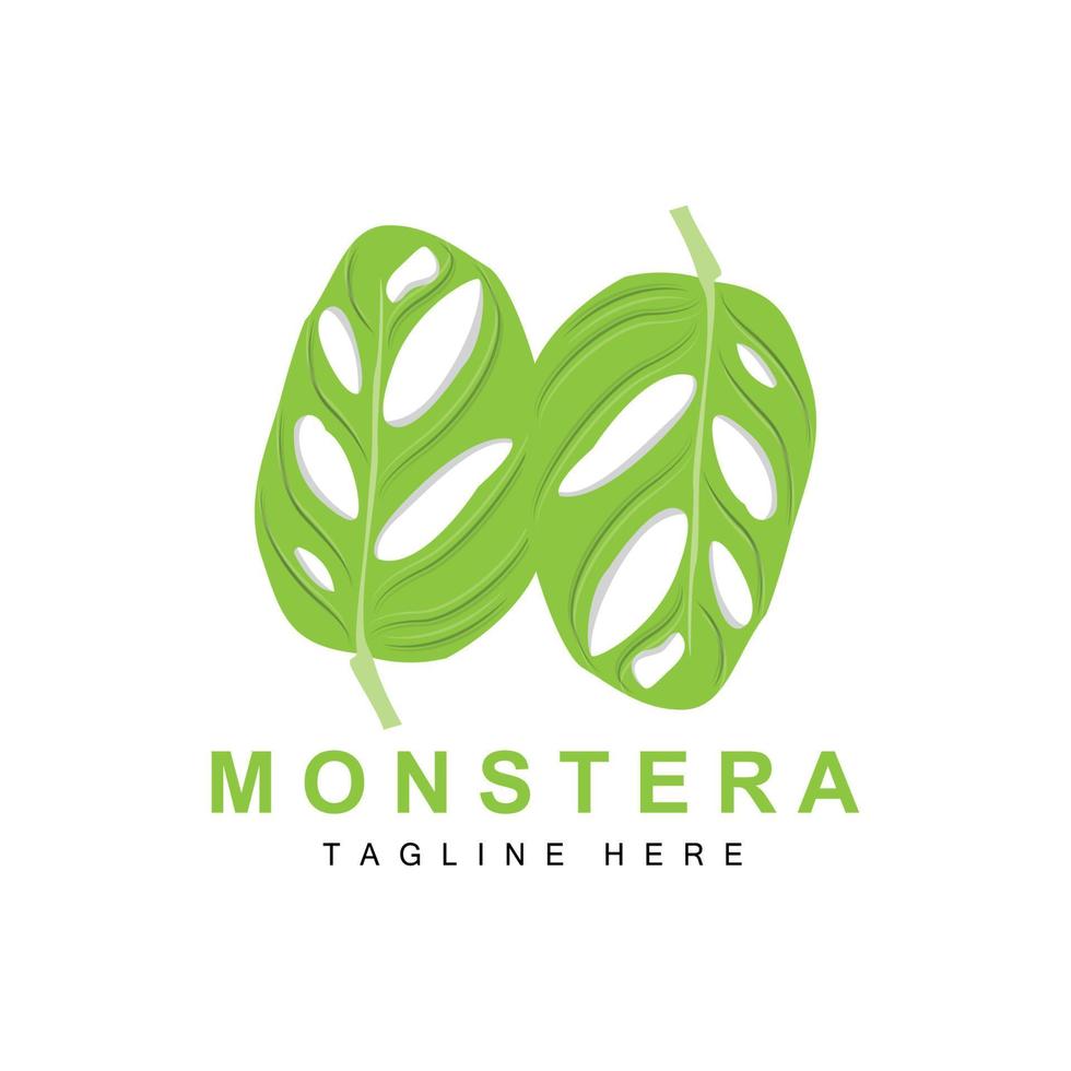 monstera adansonii-blattlogo, grünpflanzenvektor, baumvektor, seltene blattillustration vektor