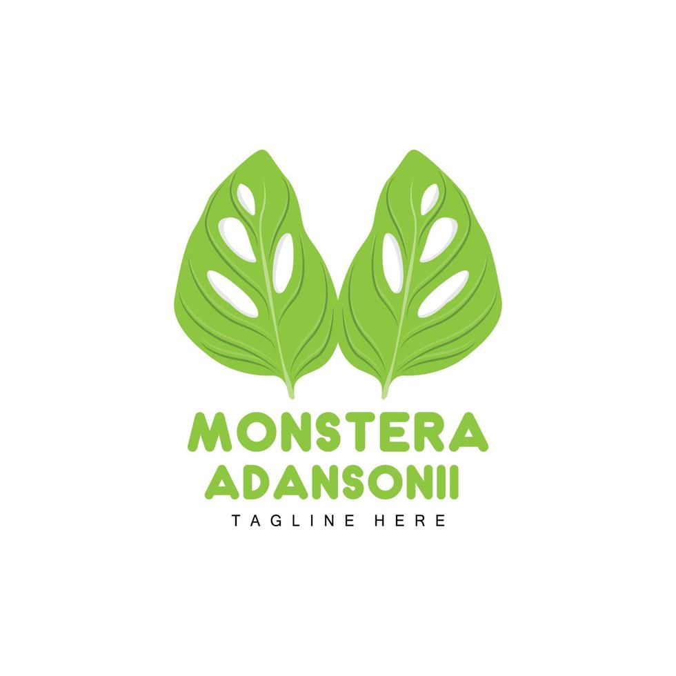 monstera adansonii blad logotyp, grön växt vektor, träd vektor, sällsynt blad illustration vektor