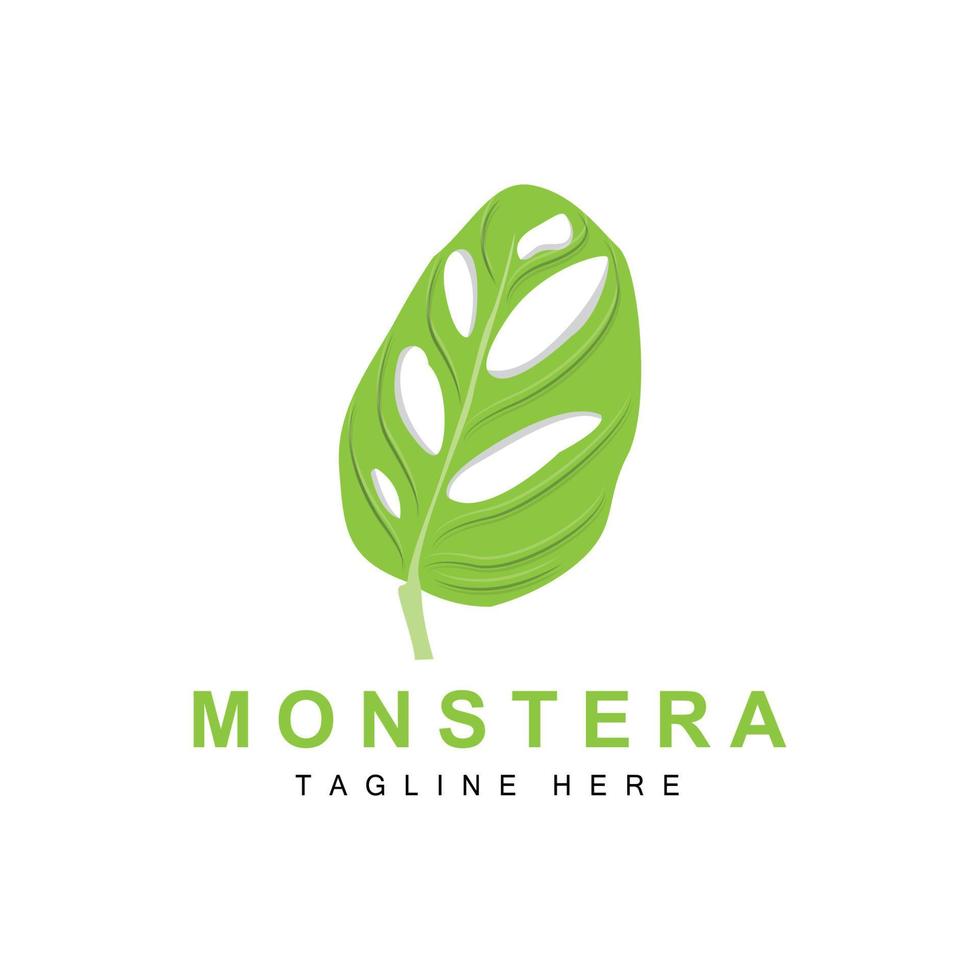 monstera adansonii-blattlogo, grünpflanzenvektor, baumvektor, seltene blattillustration vektor