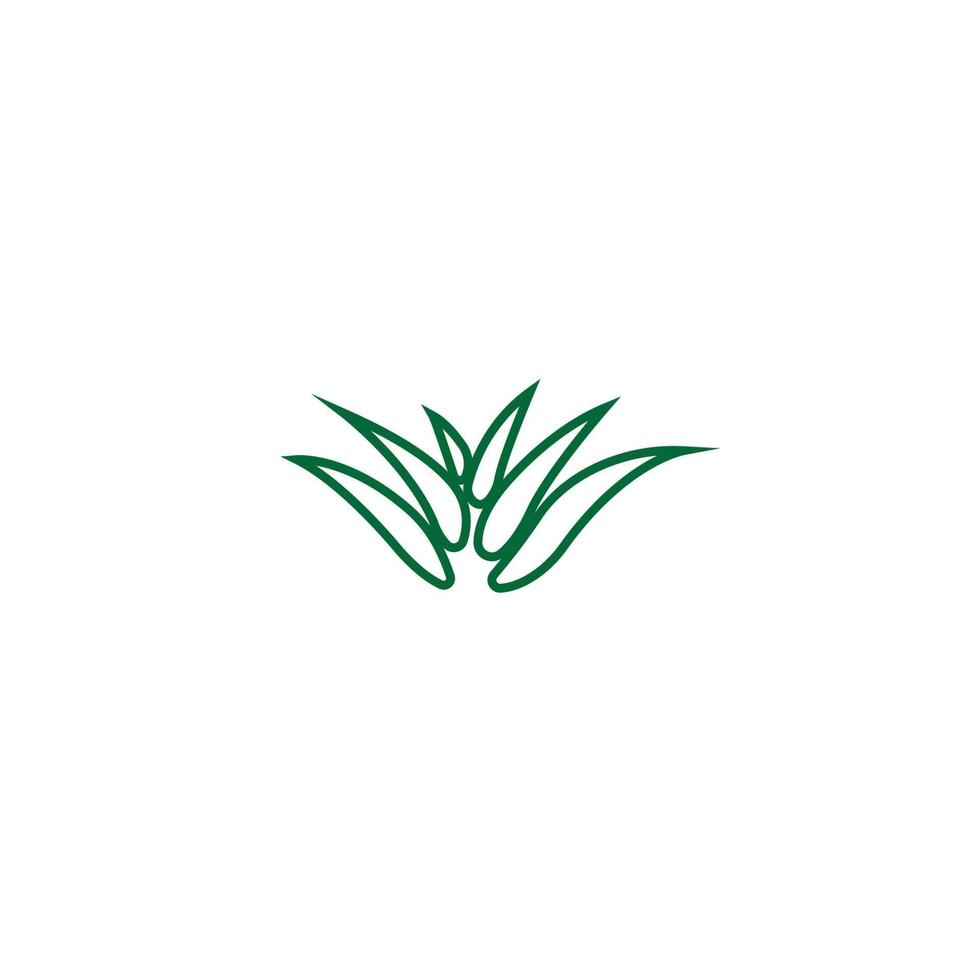 aloe vera-logotyp vektor