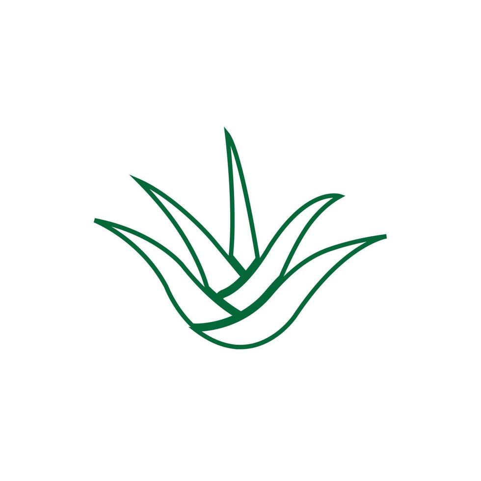 aloe vera-logotyp vektor