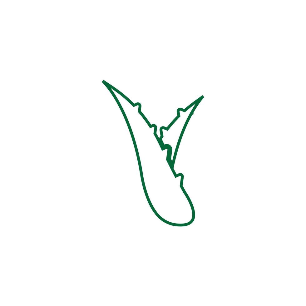 aloe vera-logotyp vektor