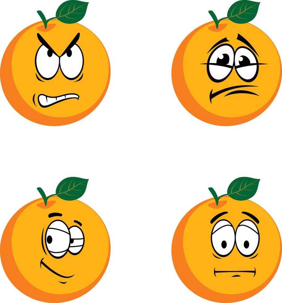 orange frucht abbildung vektor