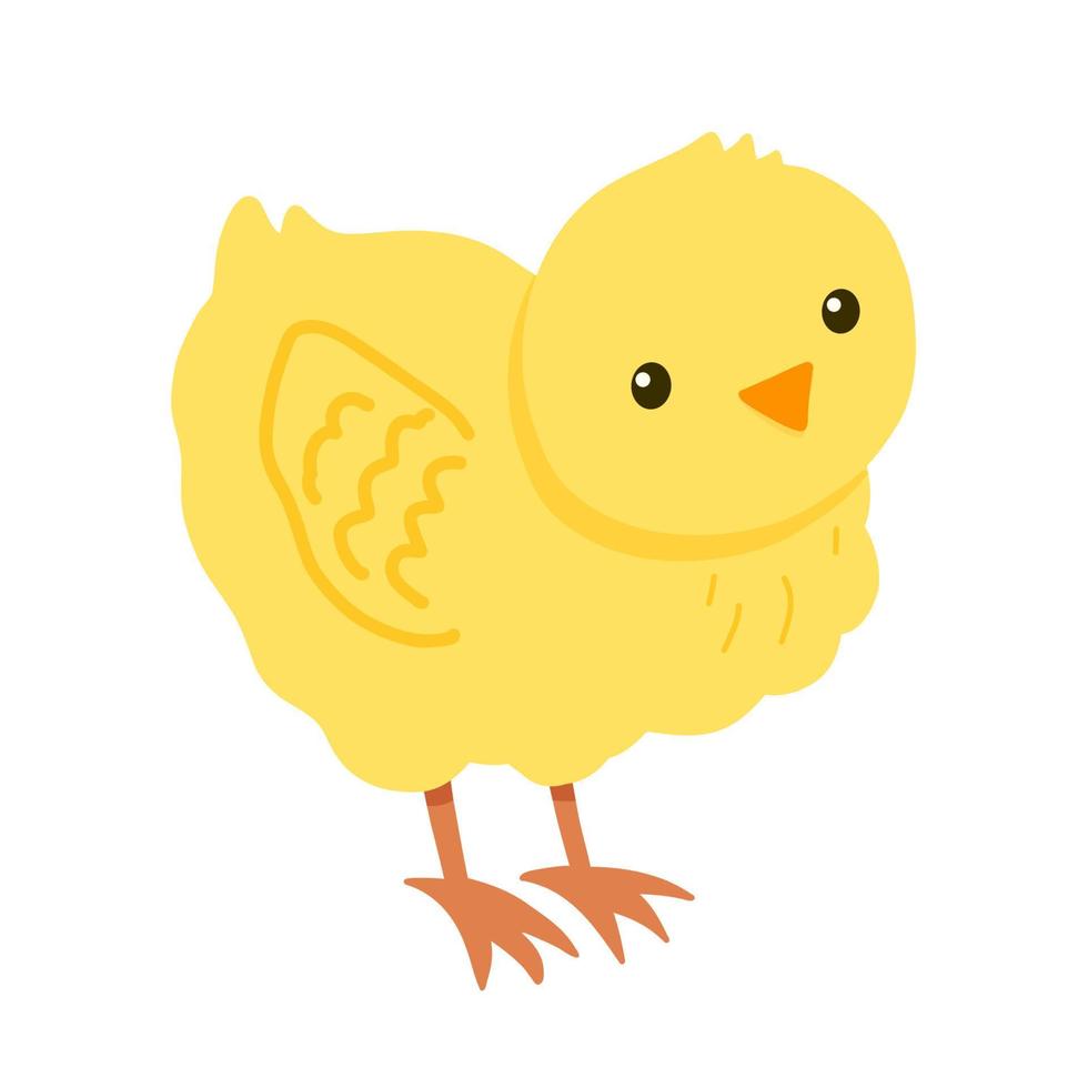 süßes gelbes Küken isoliert auf weißem Hintergrund. Flache Illustration des Babyvektors mit Bauernhofvogel vektor