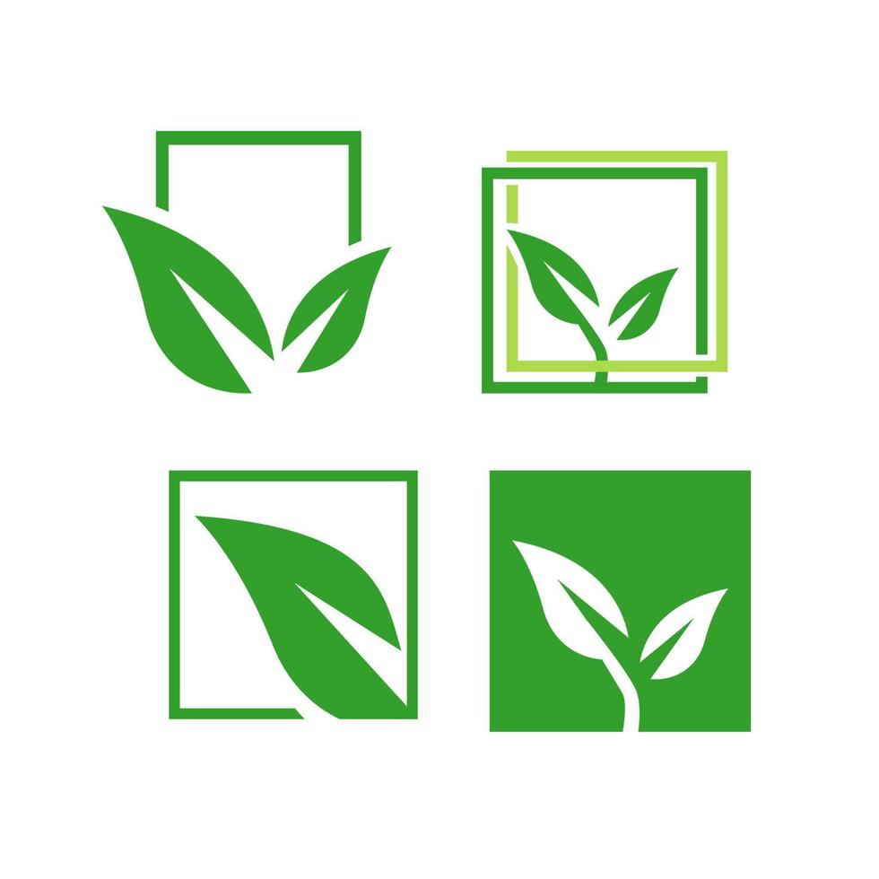 eco grön logotyp. eco vänlig vektor illustration ett miljömässigt ikon