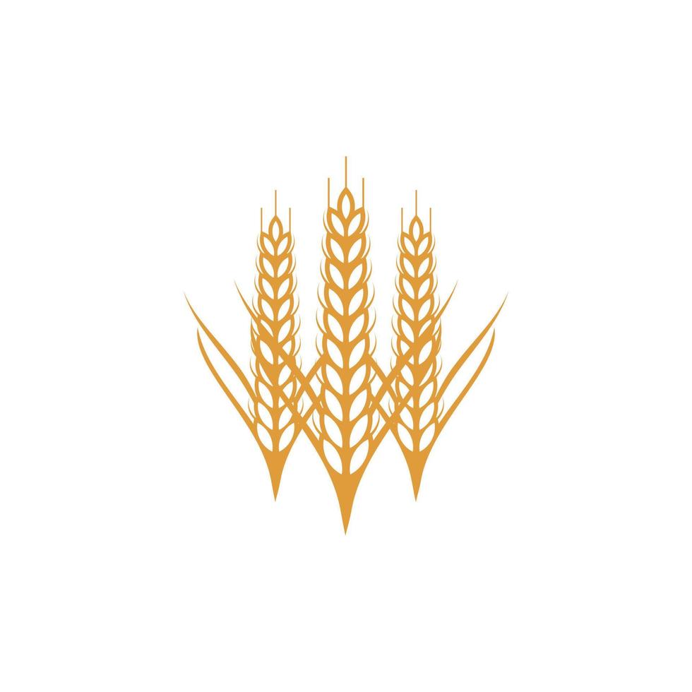 Vektorvorlage für das Design des Weizenkorn-Landwirtschaftslogos vektor