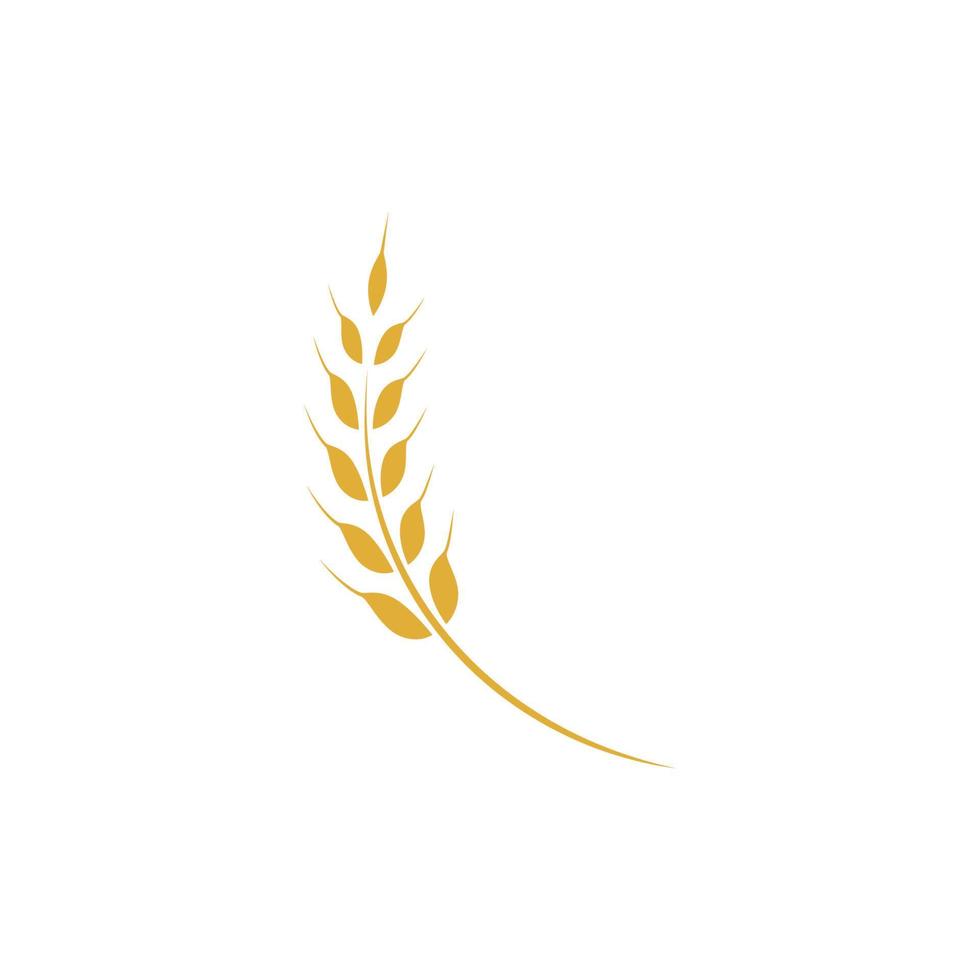 landwirtschaft weizen logo vorlage vektor