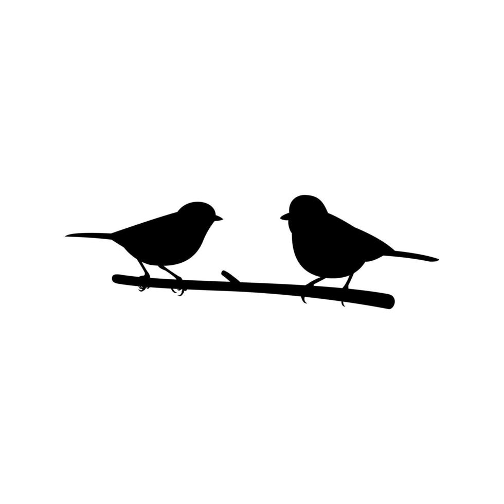 vektor teckning två fåglar Sammanträde på gren