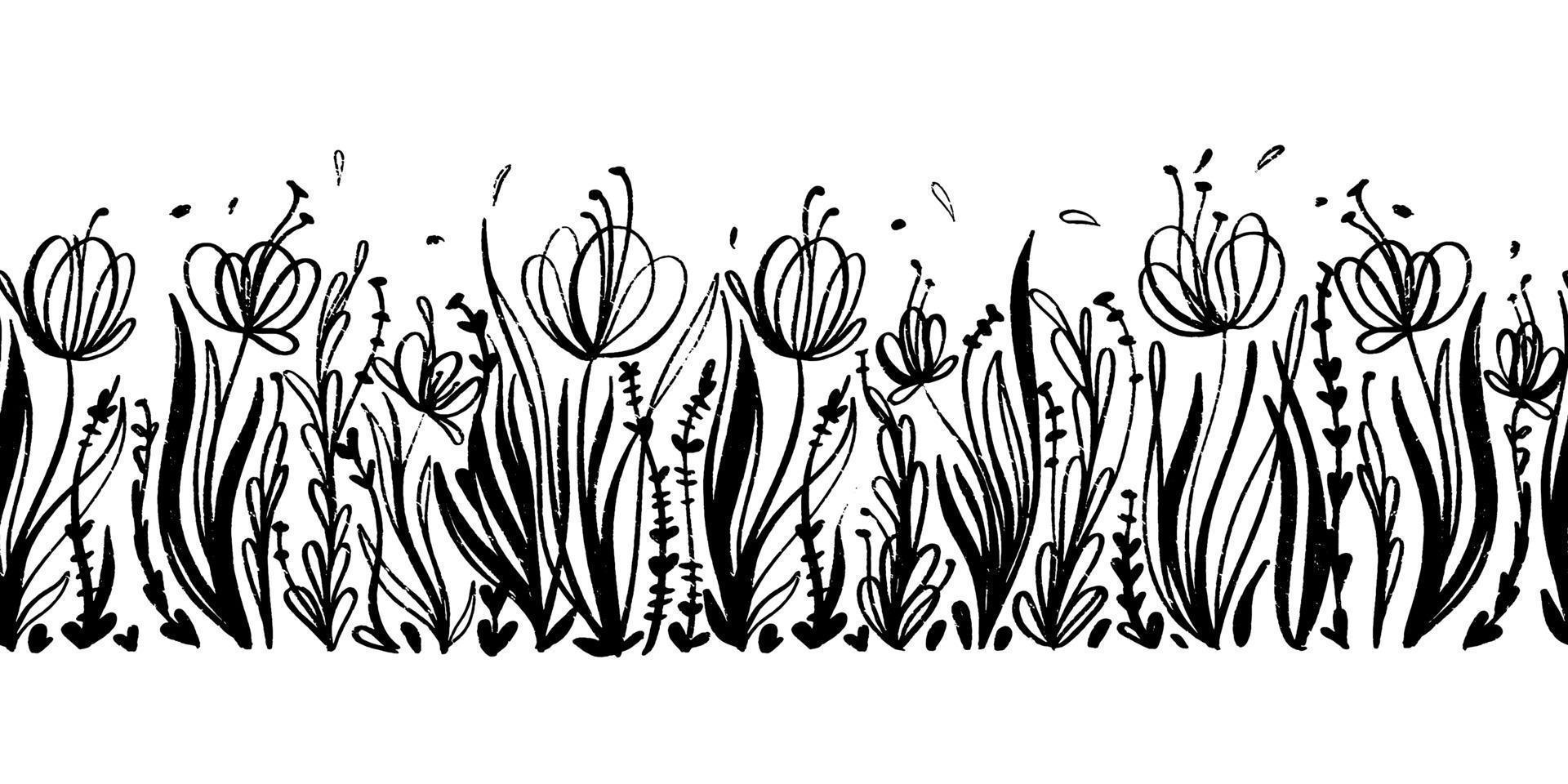 vektor sömlös gräns med bläck teckning blommig element. hand dragen svartvit horisontell bakgrund med vallmo och vild gräs.
