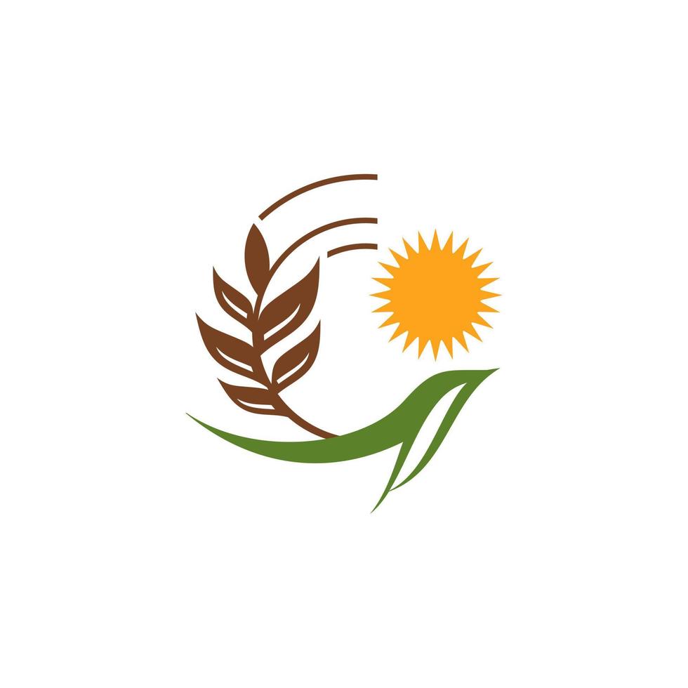 Vektorvorlage für das Design des Weizenkorn-Landwirtschaftslogos vektor