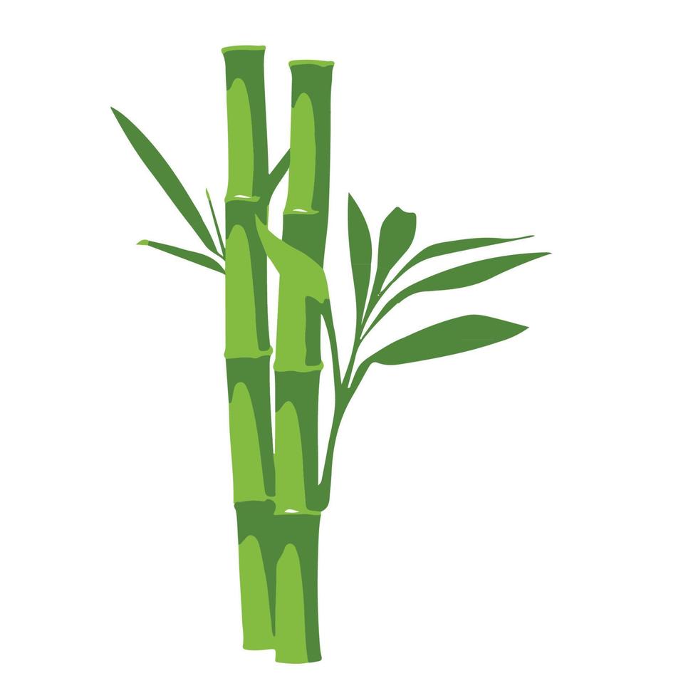 asiatisk bambu träd vektor design