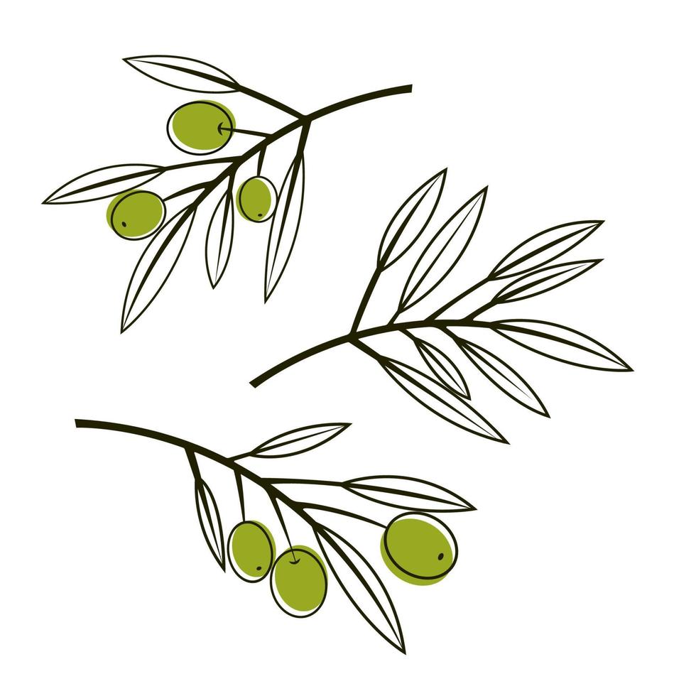 uppsättning av oliv grenar i en modern linjekonst stil isolerat på vit bakgrund. vektor illustration