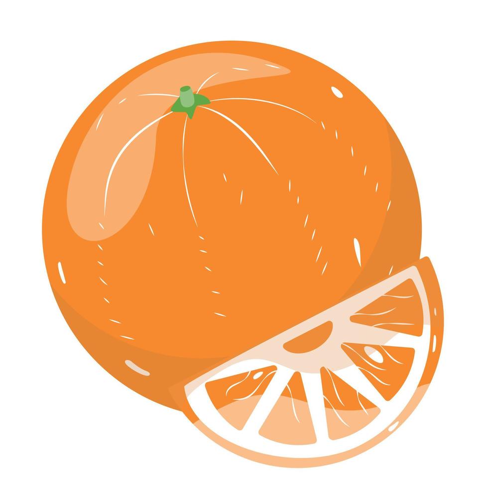 färsk orange frukt. orange skiva, vektor illustration. vektor illustration för design och skriva ut