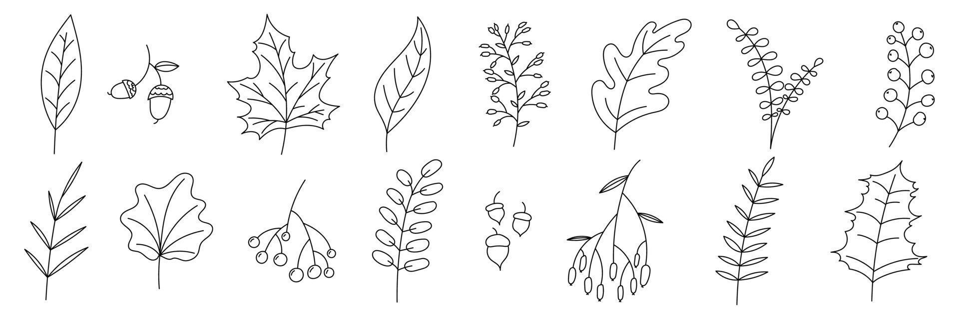 hand dragen höst samling med säsong- växter och löv. uppsättning av hand dragen växter, löv, blommor. silhuetter av naturlig element för säsong- bakgrunder. vektor illustration