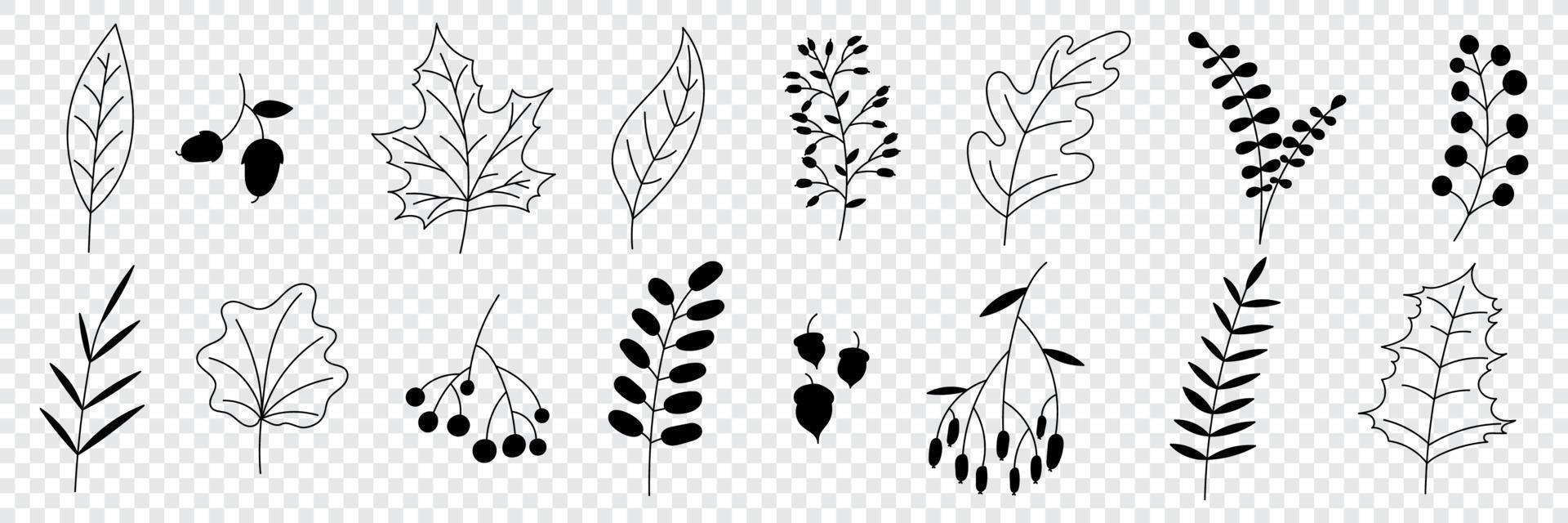 hand dragen höst samling med säsong- växter och löv. uppsättning av hand dragen växter, löv, blommor. silhuetter av naturlig element för säsong- bakgrunder. vektor illustration
