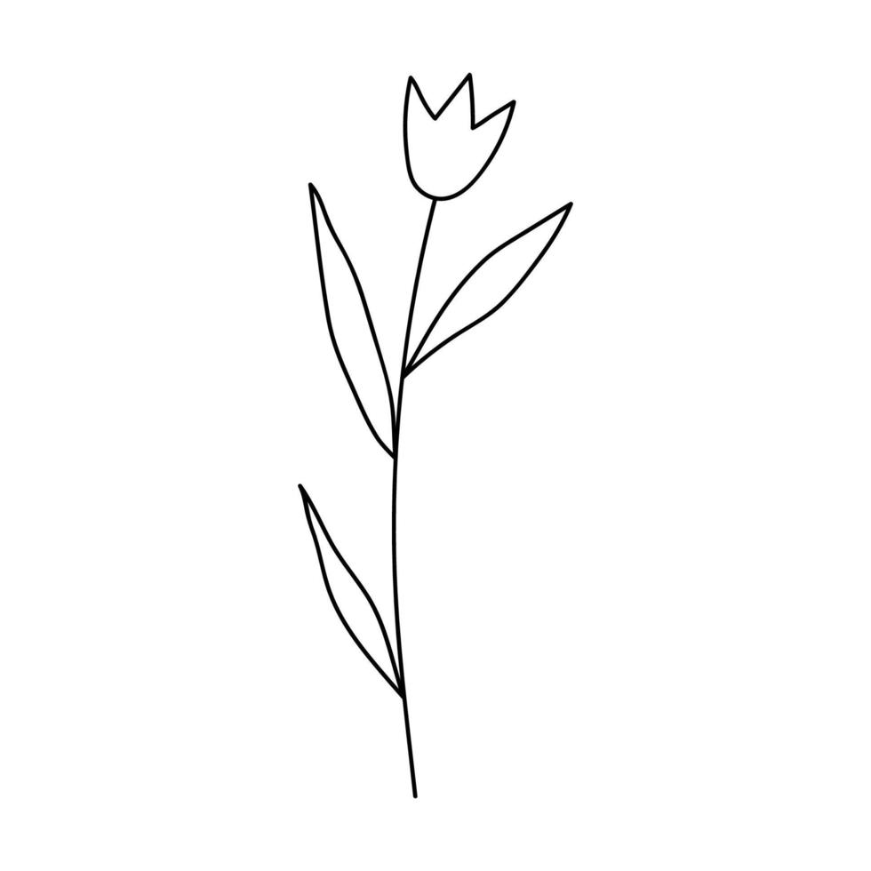 niedliche gekritzelblume lokalisiert auf weißem hintergrund. vektor handgezeichnete illustration. Perfekt für Karten, Logos, Dekorationen, verschiedene Designs. botanische Cliparts.