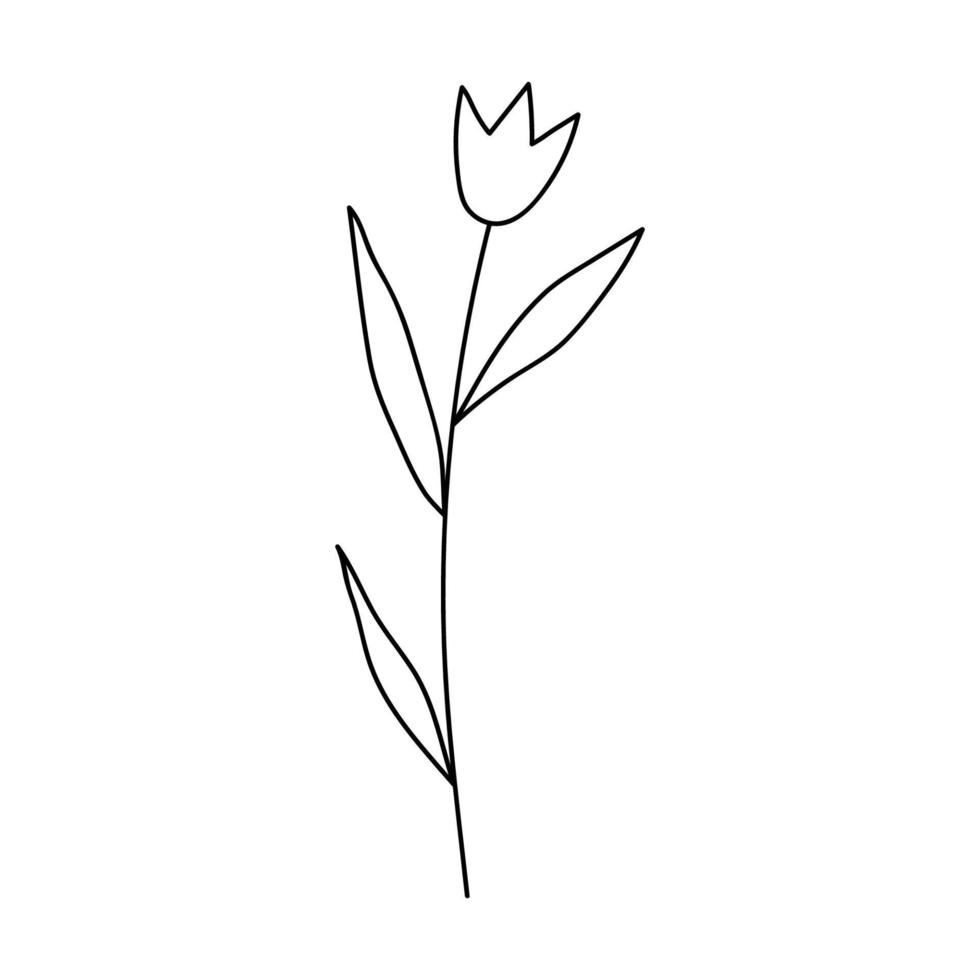 söt klotter blomma isolerat på vit bakgrund. vektor ritad för hand illustration. perfekt för kort, logotyp, dekorationer, olika mönster. botanisk ClipArt.