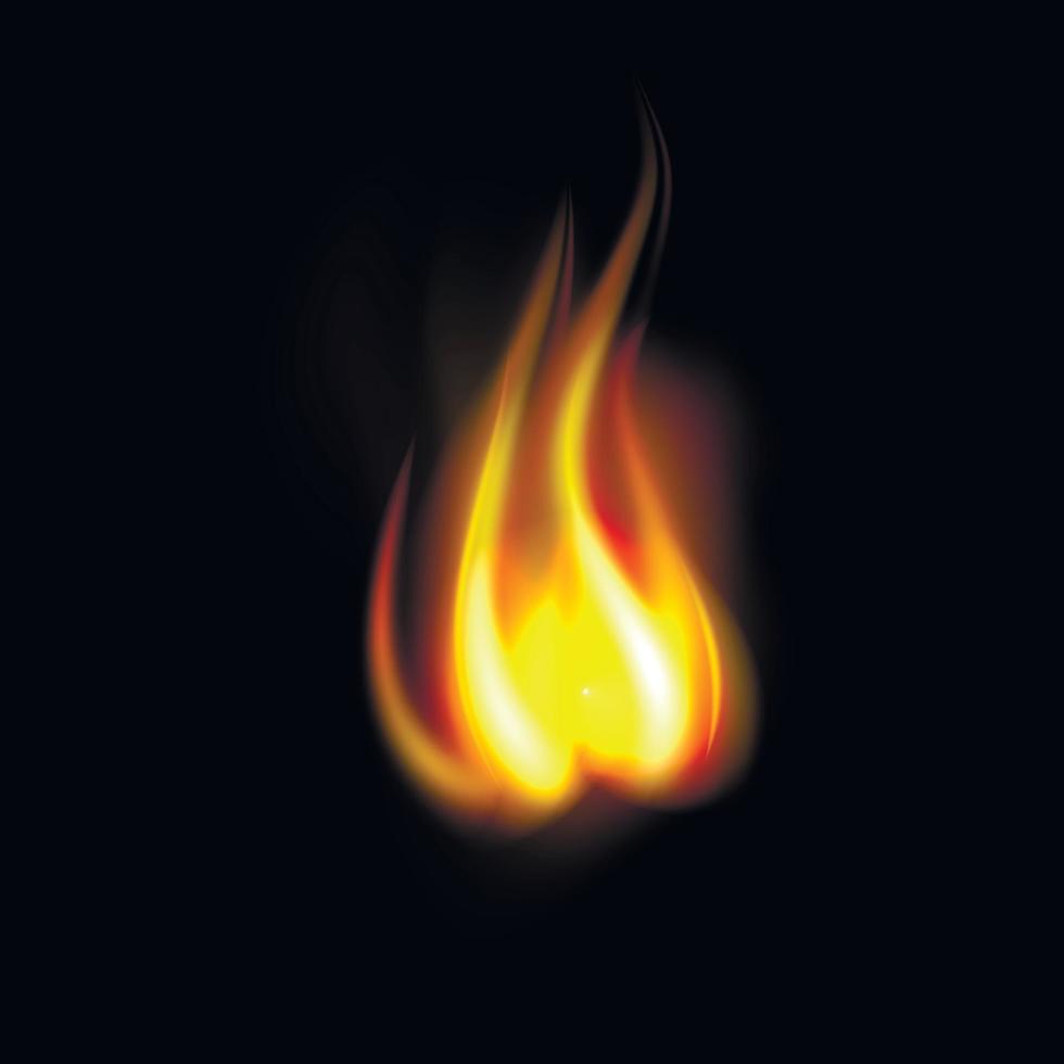 trevlig realistisk brand flamma vektor