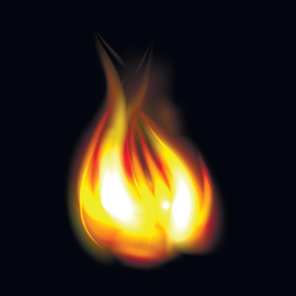 bäst realistisk brand flamma vektor