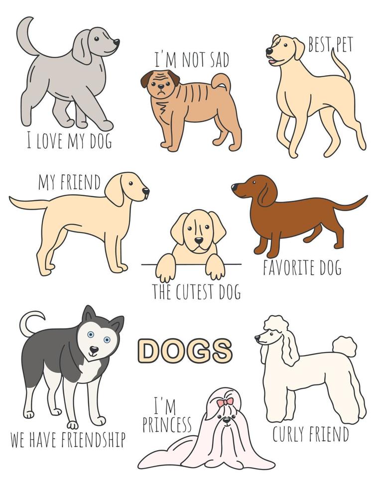 Reihe von Illustrationen mit Hunden und Inschriften vektor