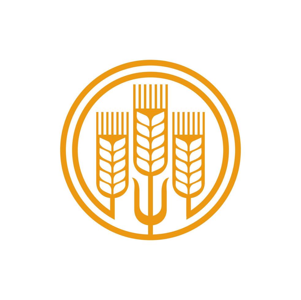 Getreideweizen und Spike-Symbol, Landwirtschaftsemblem vektor