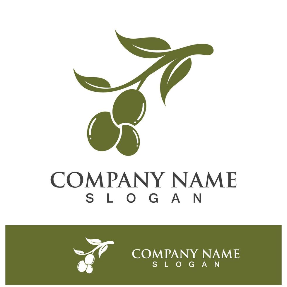 Logo-Design für natives Olivenöl extra vektor