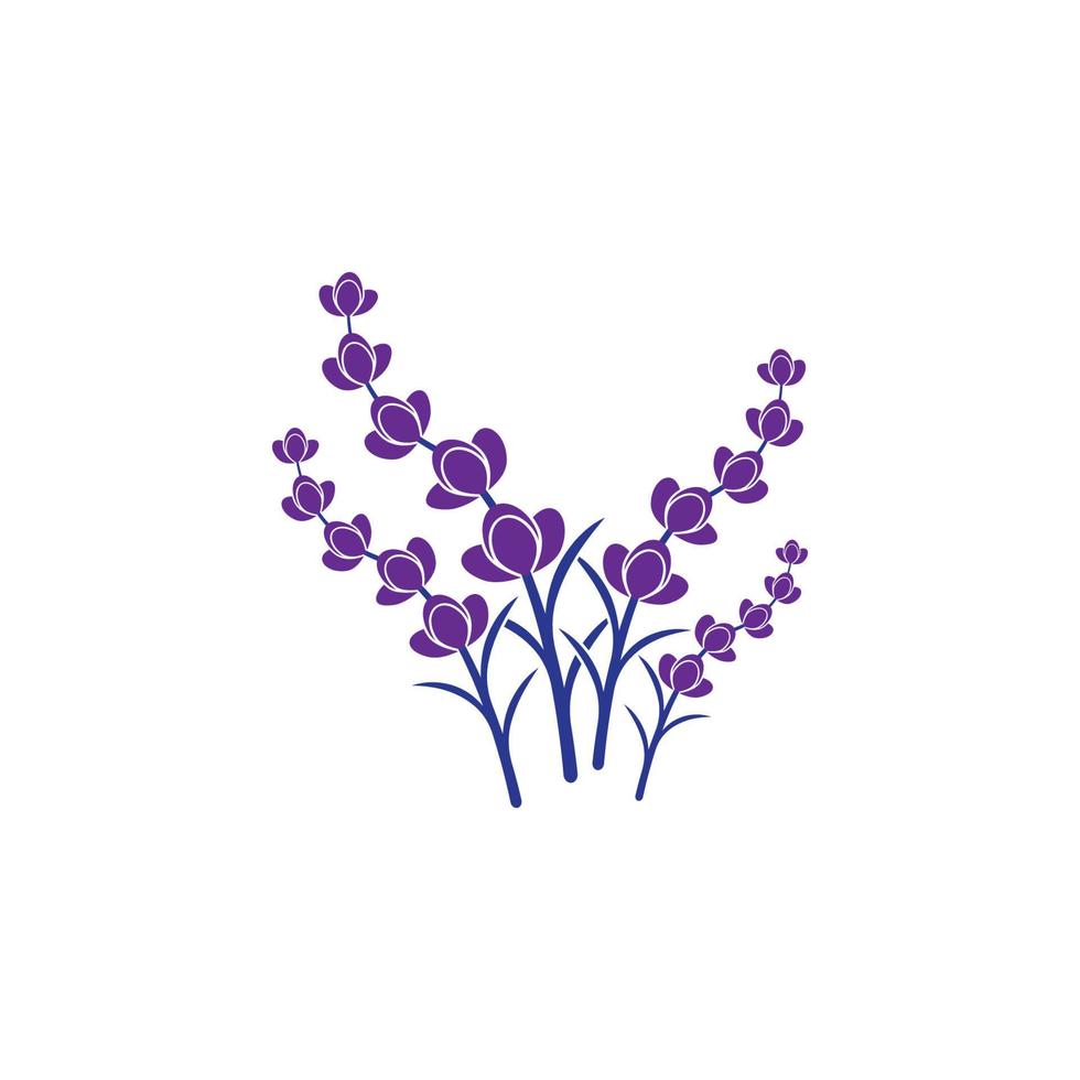 färsk lavendel blomma logotyp vektor