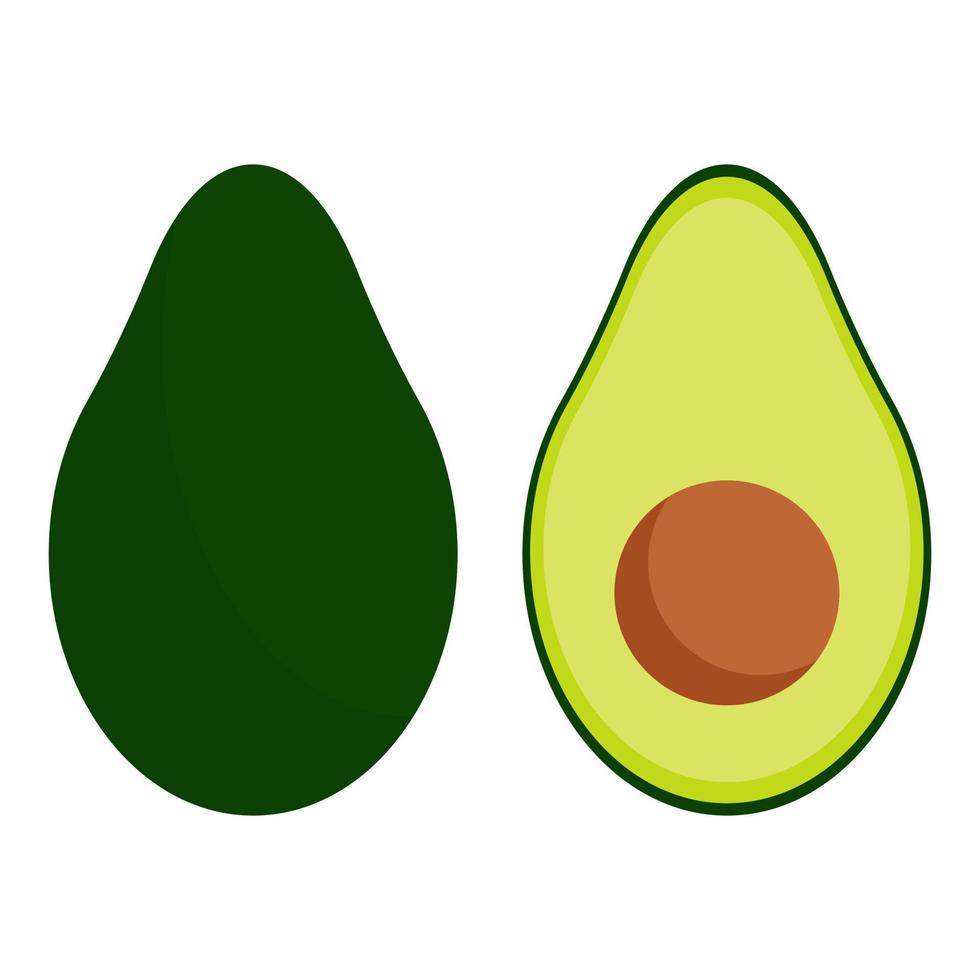 grüne Avocado für gesunde Ernährung. ganze, in Scheiben geschnittene und halbierte Avocado mit Knochen. Vektor-Illustration. Folge 10. vektor